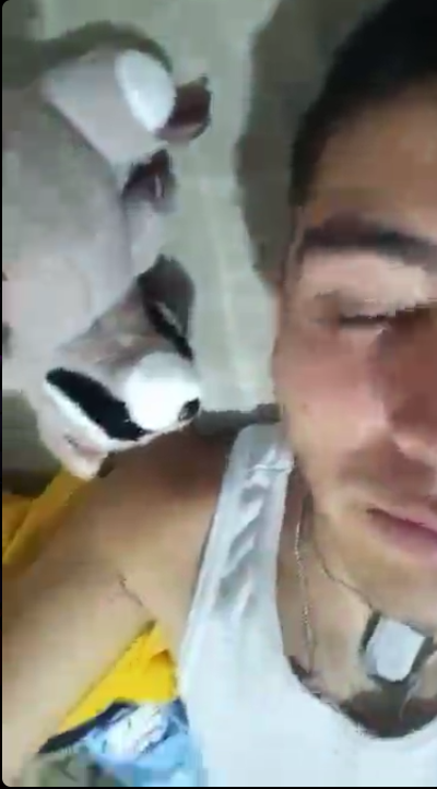 Captura de pantalla 2025-10-21 050450.png
